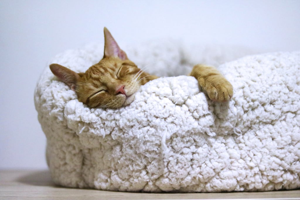 Are You Getting Enough Sleep?