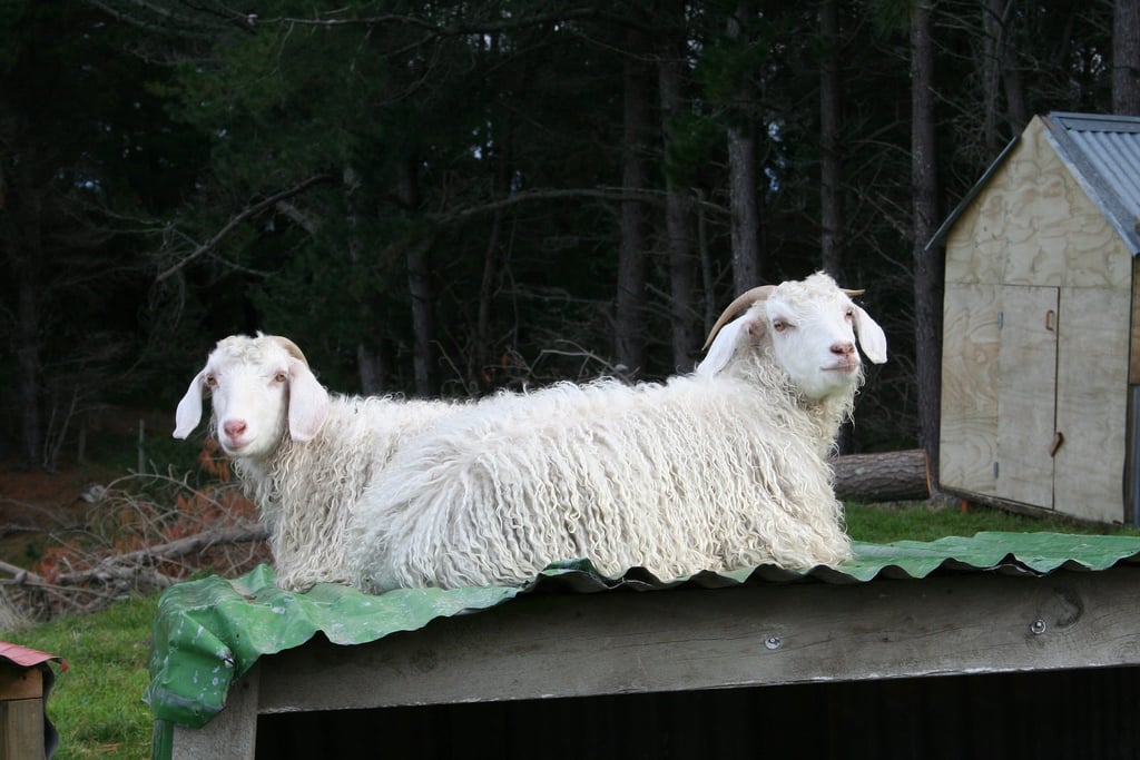 What Are The Best Mattress Fillings?