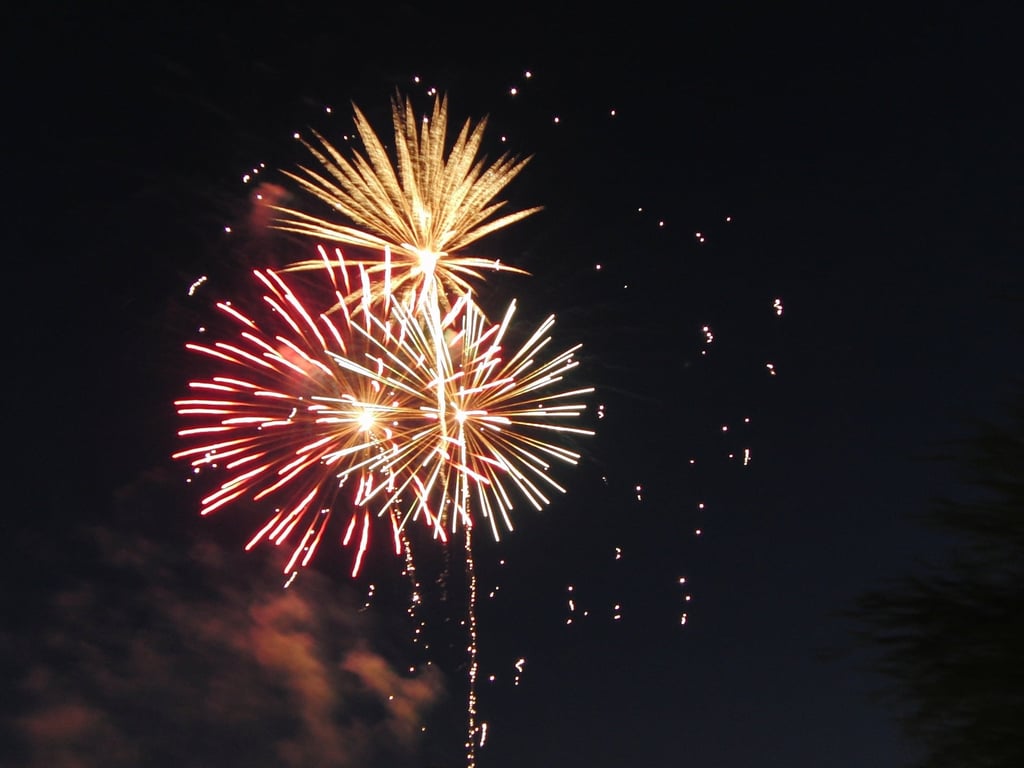 Sleep Soundly This Bonfire Night: Tips For You And Your Pet