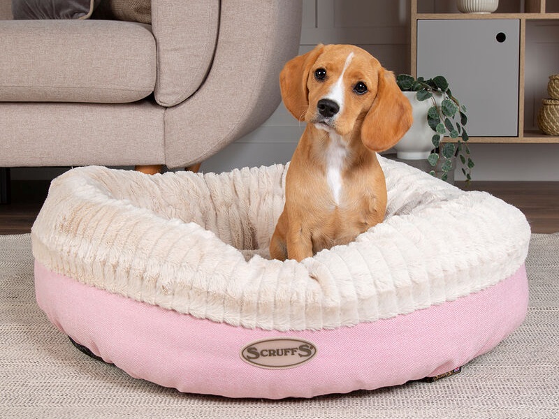 Scruffs Ellen Donut Dog Bed at Mattressman