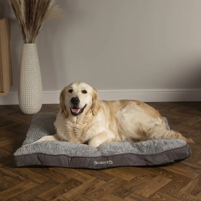 Cosy sales dog bed
